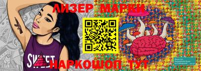 стафф Кингисепп
