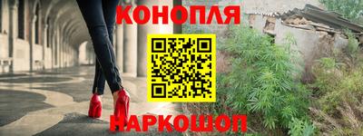 стафф Кингисепп