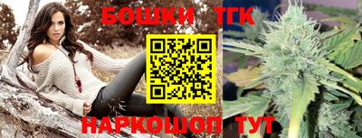 стафф Кингисепп