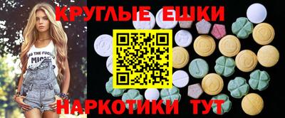 стафф Кингисепп