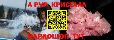 стафф Кингисепп