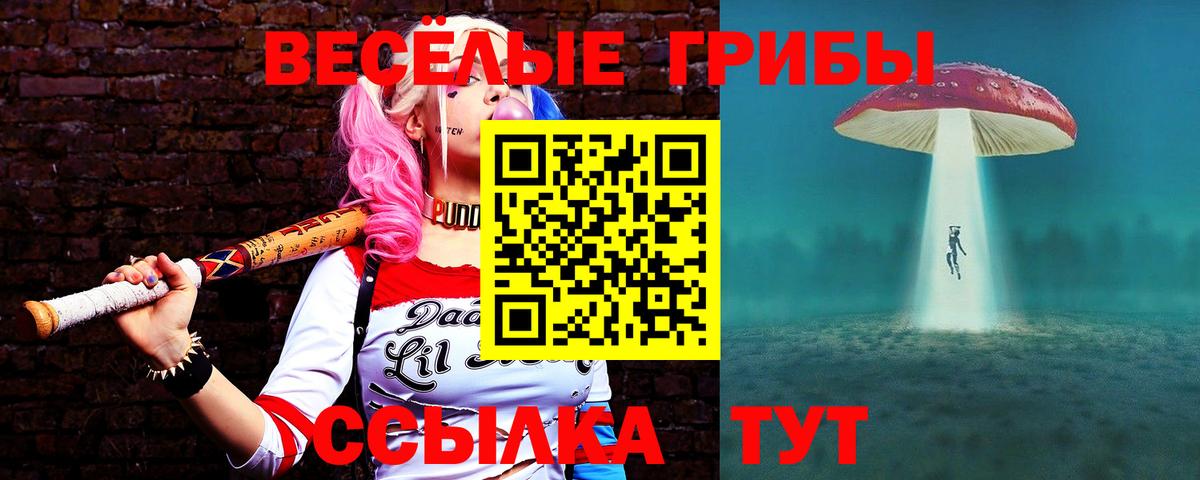 Галлюциногенные грибы Cubensis Чусовой